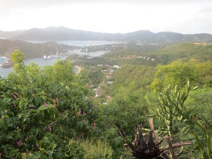 At nearly 500 feet above the sea, the views of English and Falmouth Harbours are mesmerizing. Photo Credit Melanie Reffes