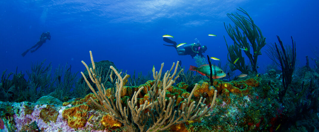 St. Eustatius