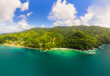 ๐ป๐จ St. Vincent & The Grenadines St. Vincent & the Grenadines